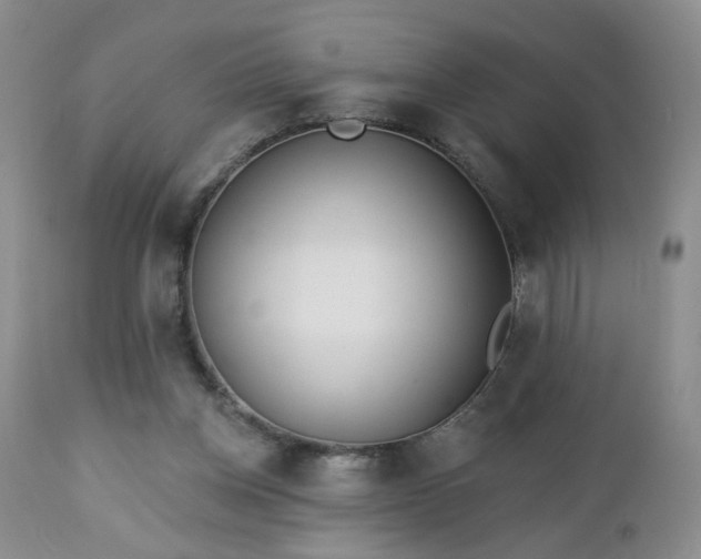 X0000112460158200908241307