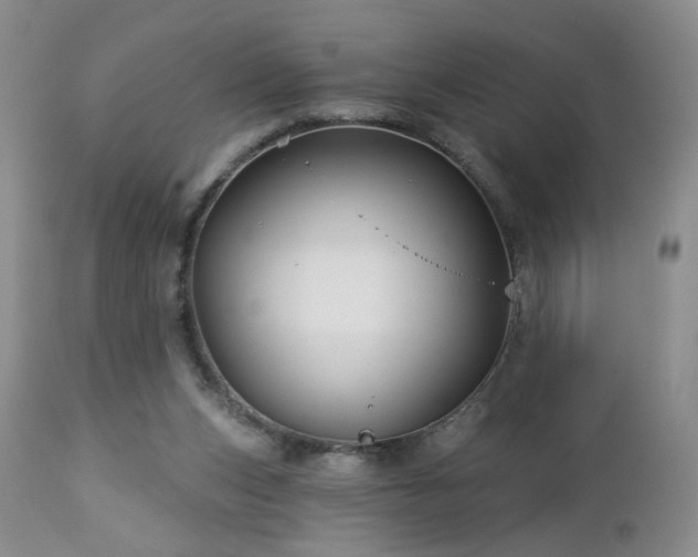 X0000112460159200908241307