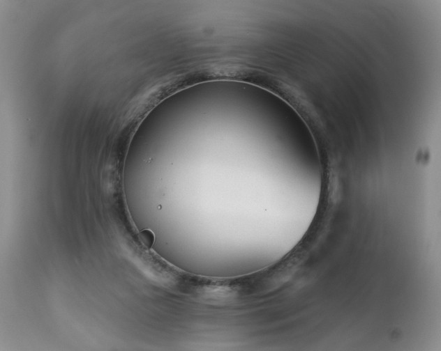 X0000112460161200908241307