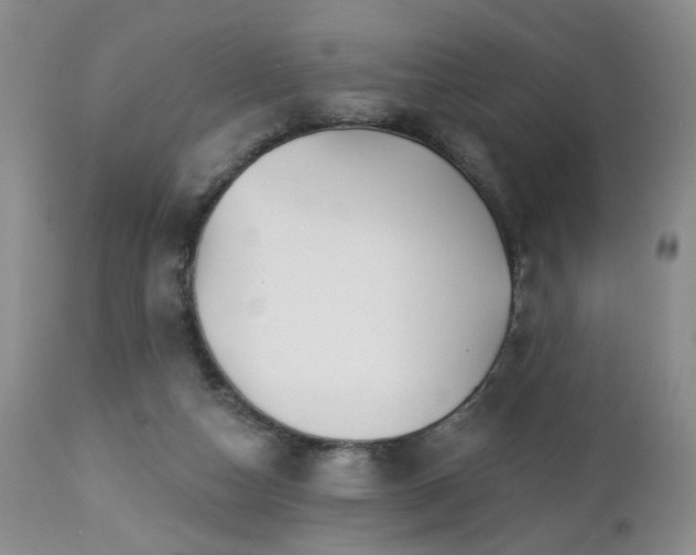 X0000112460162200908241307