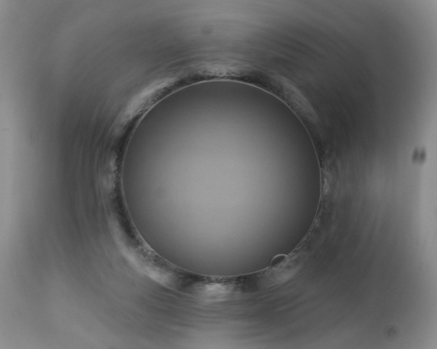 X0000112460163200908241307