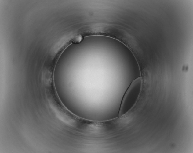 X0000112460164200908241307