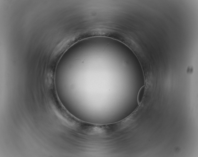 X0000112460166200908241307