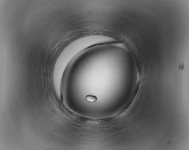 X0000112460170200908241307