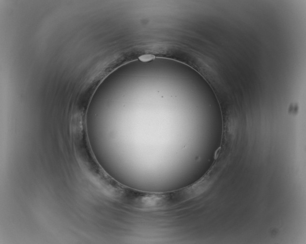 X0000112460172200908241307