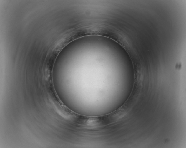 X0000112460173200908241307