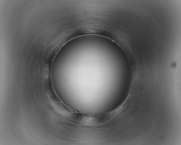 X0000112460174200908241307