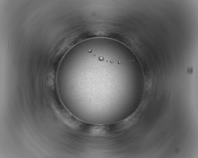 X0000112460175200908241307