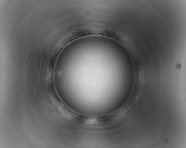 X0000112460177200908241307