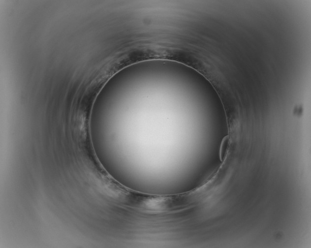 X0000112460178200908241307