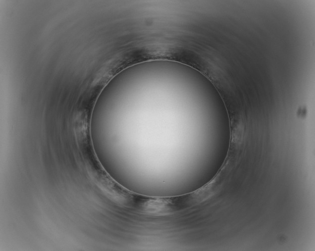 X0000112460179200908241307