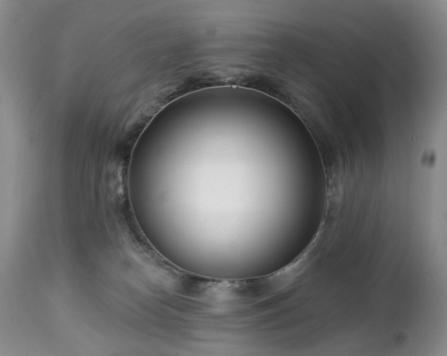 X0000112460182200908241307