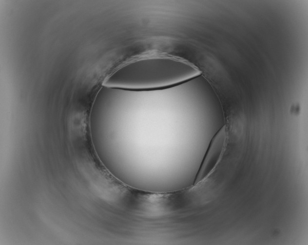 X0000112460184200908241307