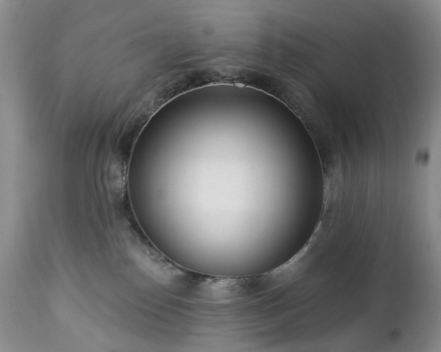 X0000112460186200908241307