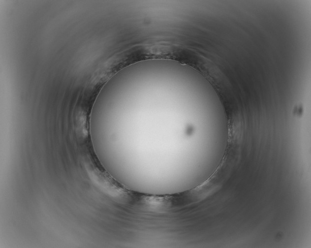 X0000112460187200908241307