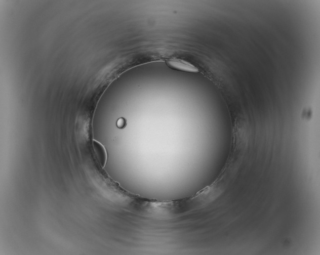 X0000112460188200908241307