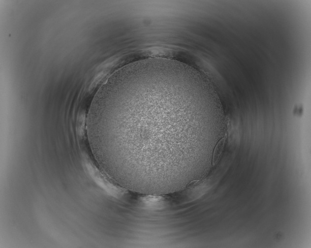 X0000112460189200908241307