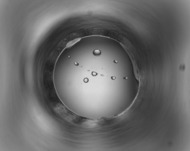 X0000112460190200908241307