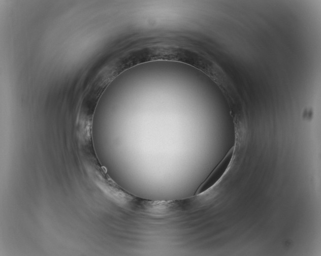 X0000112460191200908241307