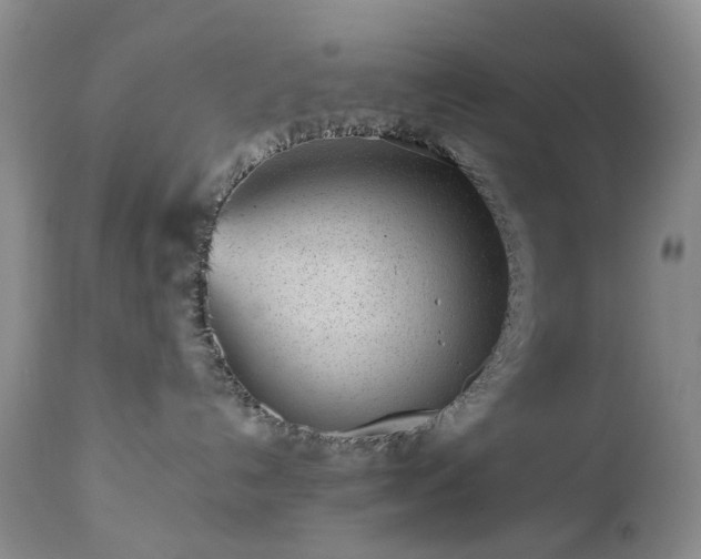 X0000112460192200908241307