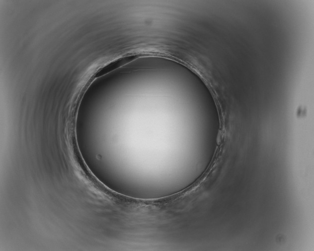 X0000112460193200908241307