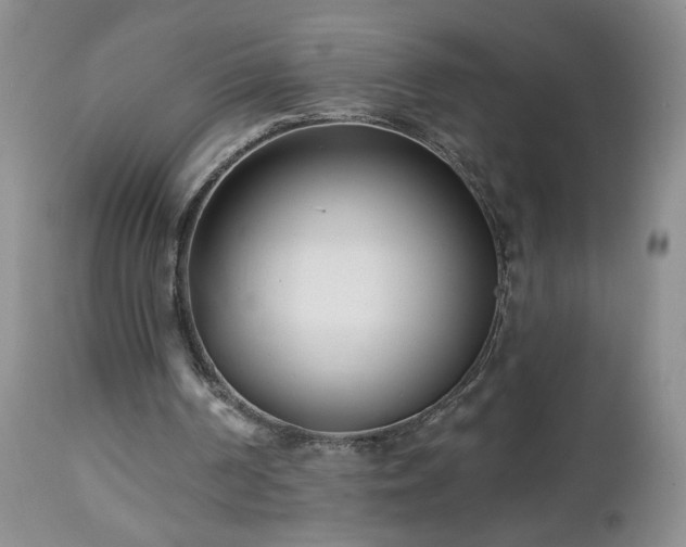 X0000112460194200908241307