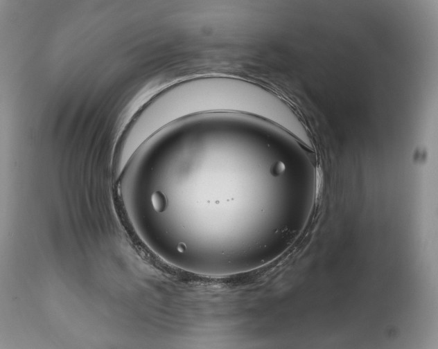 X0000112460195200908241306