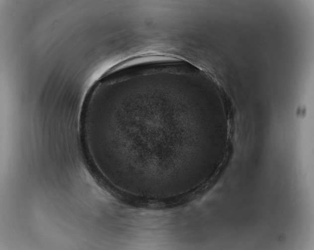 X0000112460196200908241306