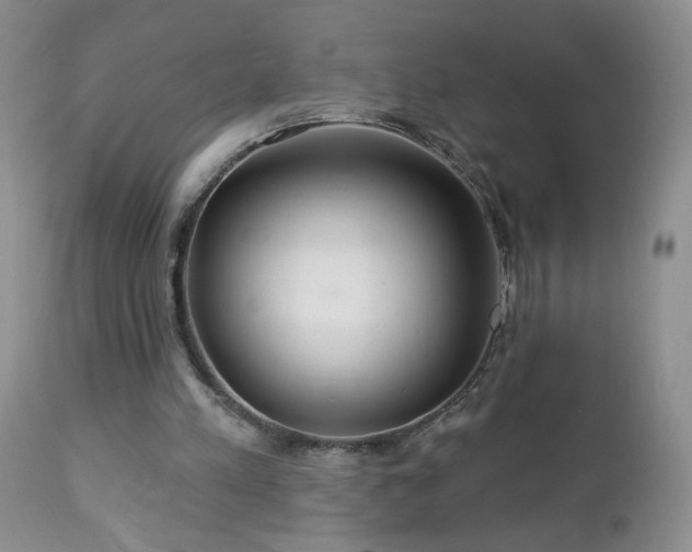 X0000112460197200908241306