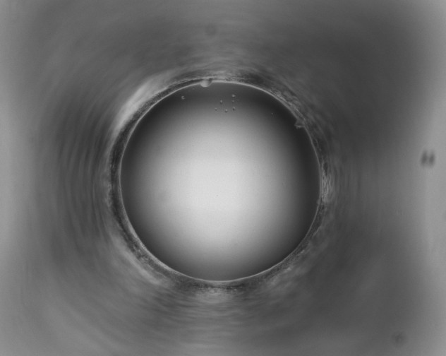 X0000112460198200908241306