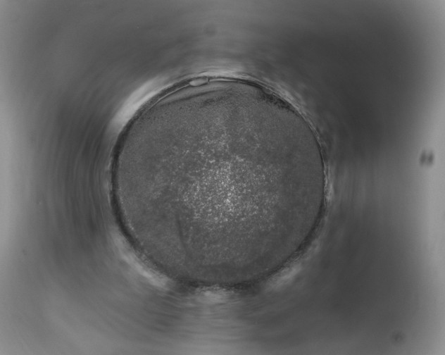 X0000112460199200908241306