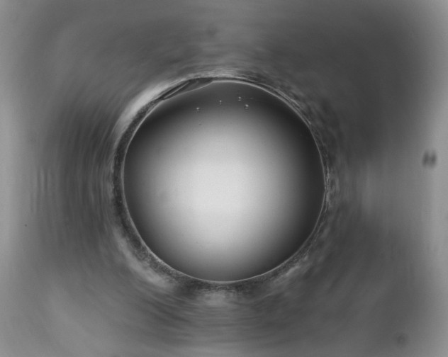 X0000112460200200908241306