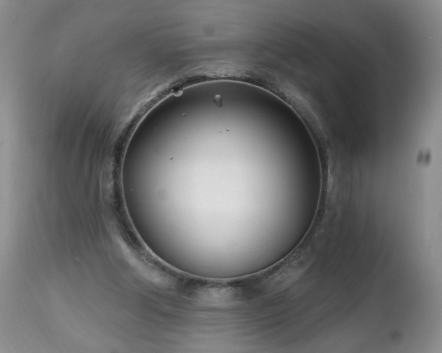 X0000112460202200908241306