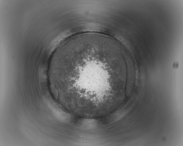 X0000112460203200908241306