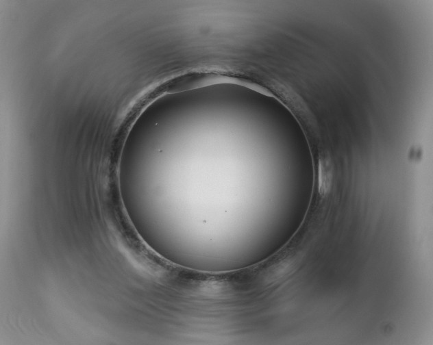 X0000112460204200908241306