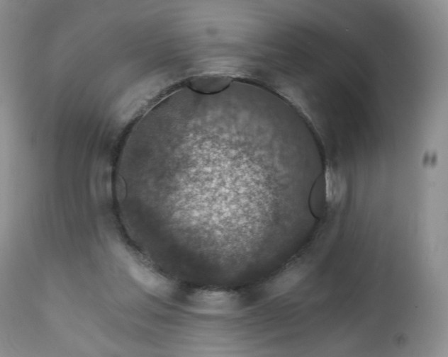 X0000112460205200908241306