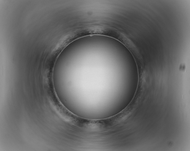 X0000112460209200908241306