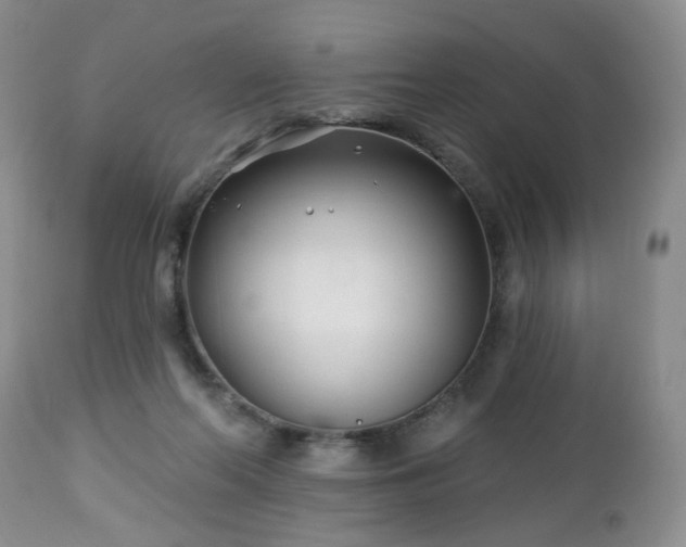 X0000112460214200908241306