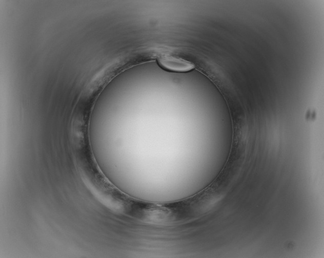 X0000112460215200908241306