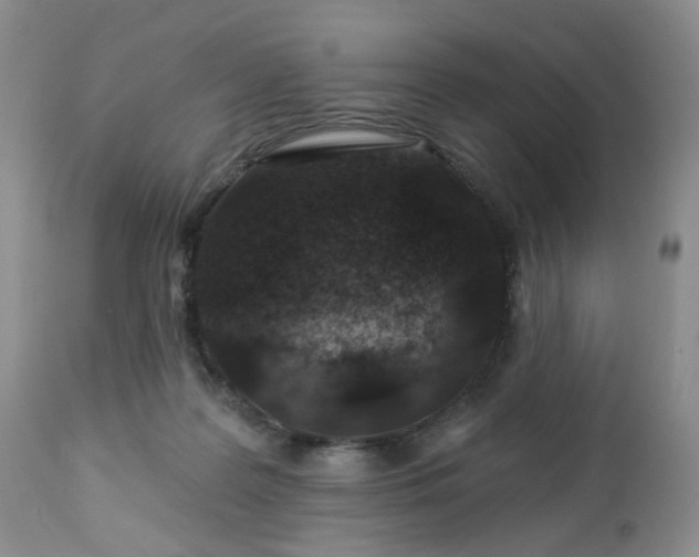 X0000112460219200908241306