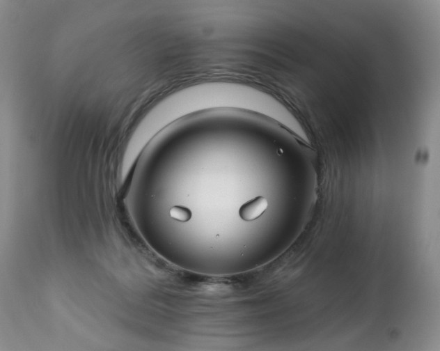 X0000112460220200908241306