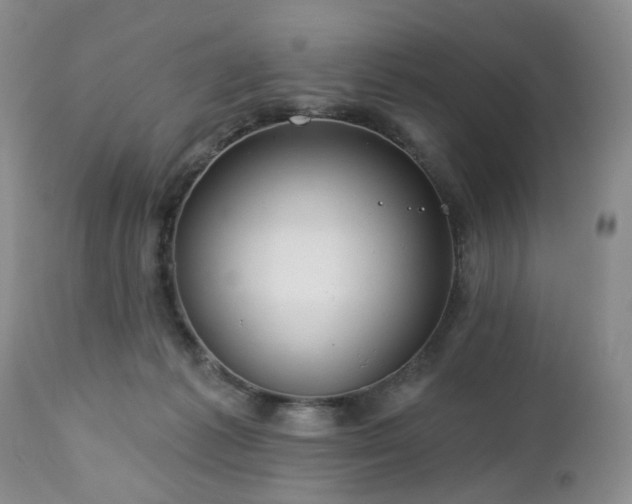 X0000112460221200908241306