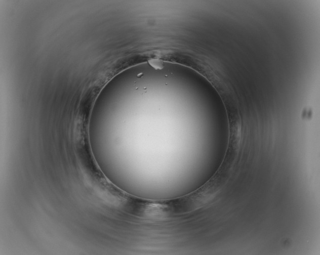 X0000112460222200908241306