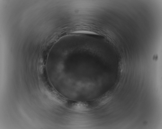 X0000112460223200908241306