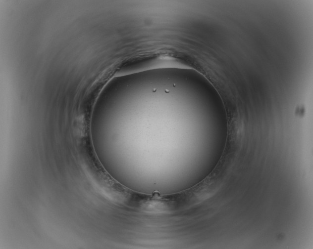 X0000112460224200908241306