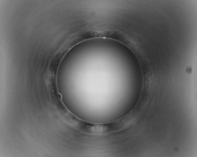 X0000112460225200908241306