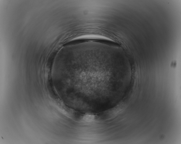 X0000112460227200908241306