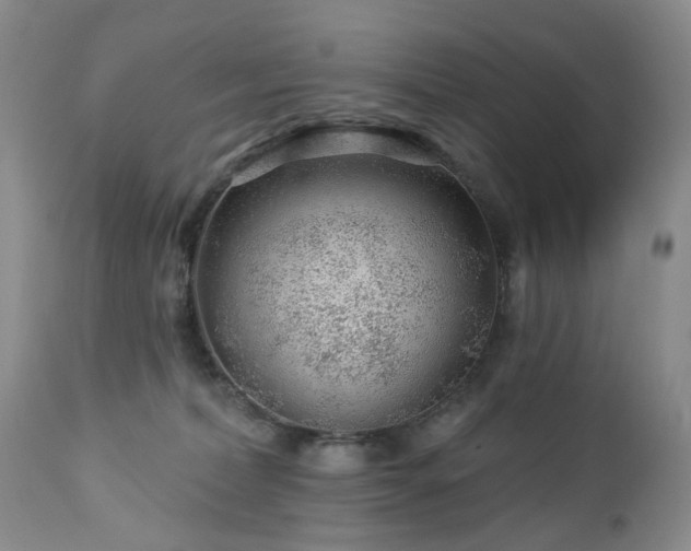 X0000112460228200908241306