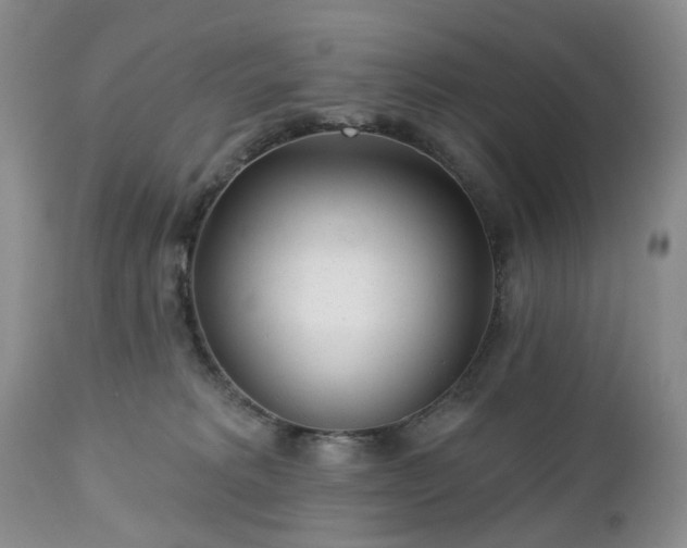 X0000112460229200908241306