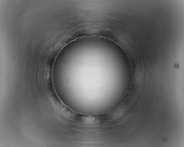 X0000112460230200908241306